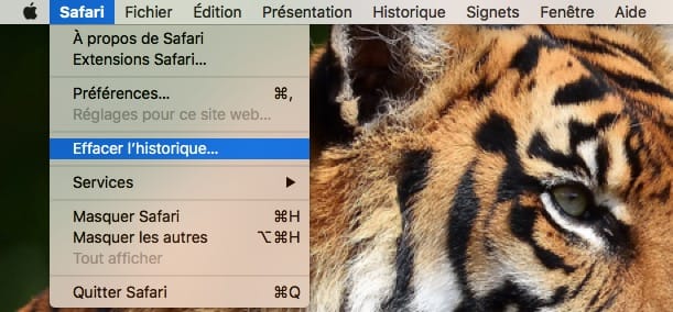 Effacer l'historique de Safari sur Mac rapidement